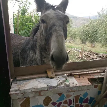 Prima Casa Séjour à la ferme *